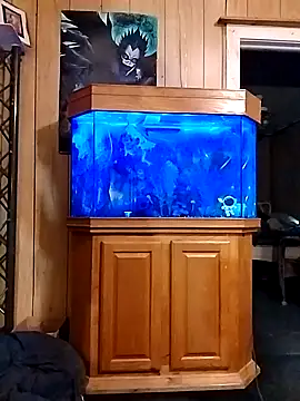 Rebeckalove online show from 02.16.25