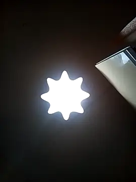 Lauren Amabel online show from 01.31.26