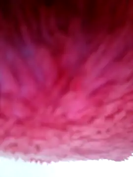 Samara-Bella online show from 01.06.26