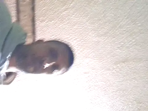 ElHades086 online show from 01.13.25