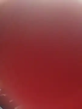 blondaf online show from 11.25.25