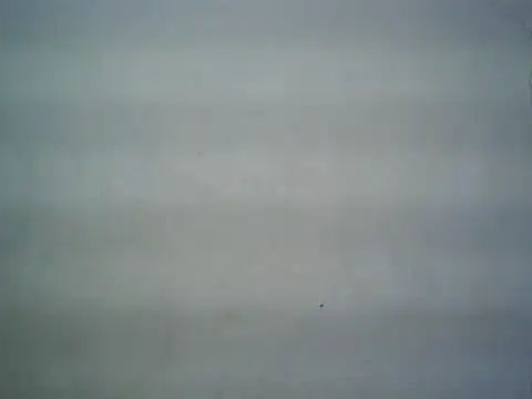 Snapshot of michel1520 chatting on 07.16.26 michel1520 online show from 07.16.26