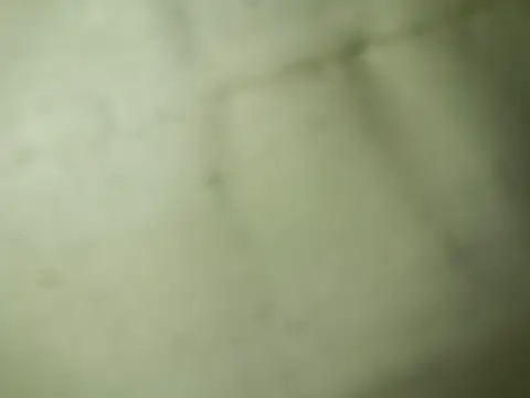 Snapshot of Ktosik88 chatting on 01.18.26 Ktosik88 online show from 01.18.26