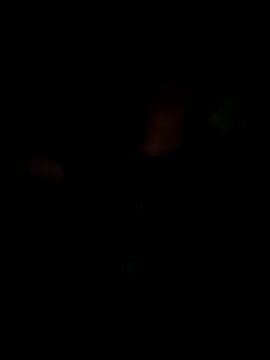 Snapshot of KisSsu chatting on 01.09.26 KisSsu online show from 01.09.26