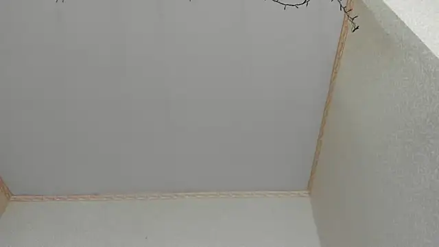 Browni Kiss online show from 01.16.25