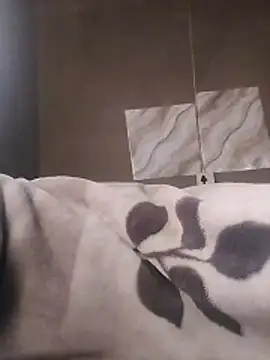 LaneYam online show from 04.09.26