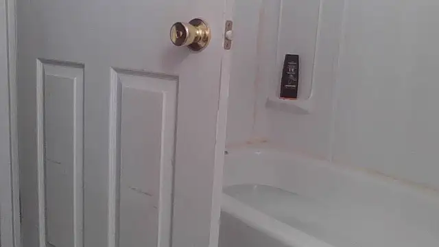 yourcourage1 online show from 10.11.25