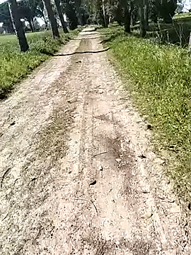 arveia online show from 04.04.26