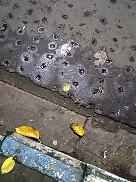 Snapshot of Raj41 chatting on 09.20.25 Raj41 online show from 09.20.25