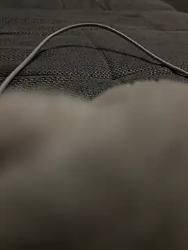 hengst2312 online show from 01.20.25