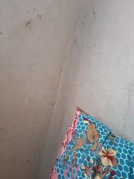 Snapshot of novinhatransexy chatting on 11.19.25 novinhatransexy online show from 11.19.25