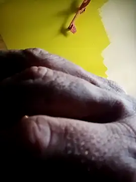 wapo100x100 online show from 10.06.25