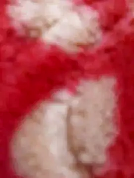 mhmia online show from 02.08.25