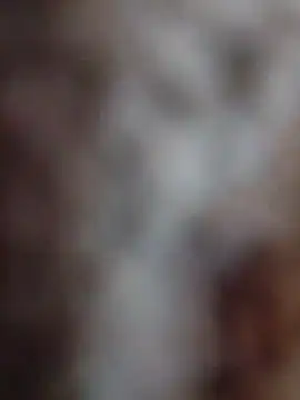 Snapshot of mhmia chatting on 02.12.26 mhmia online show from 02.12.26