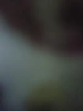 randit7 online show from 11.10.25