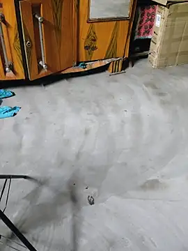 birds0641 online show from 04.27.26