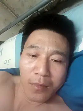 wadmma online show from 03.18.26