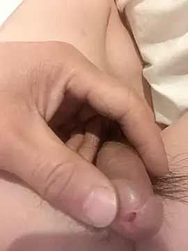 wadmma online show from 04.11.26