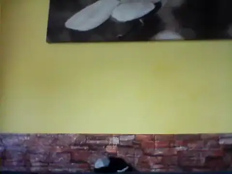 Snapshot of sexy_lady2 chatting on 02.17.25 sexy lady2 online show from 02.17.25