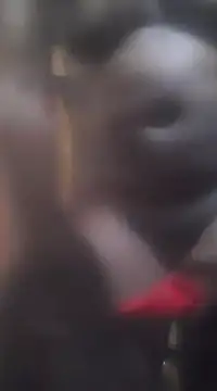 Snapshot of ratolakasexyx chatting on 01.31.25 ratolakasexyx online show from 01.31.25