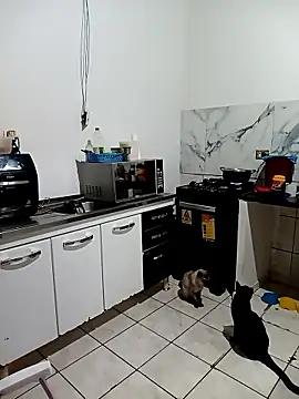 Pantaneirasexy online show from 11.27.25