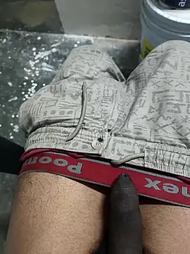 Snapshot of omni_333 chatting on 02.04.26 omni 333 online show from 02.04.26