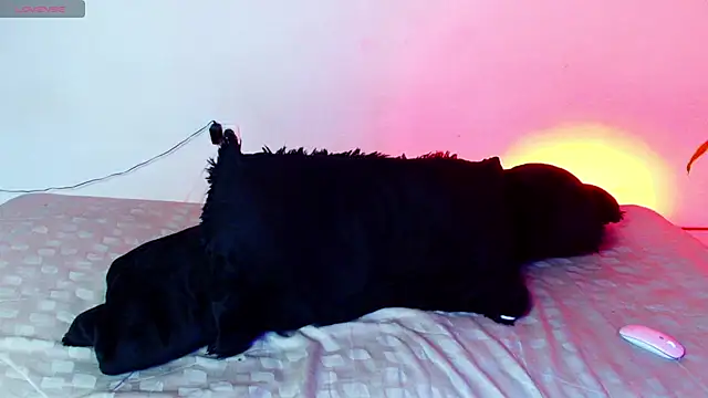 Snapshot of 7_Saturno_7 chatting on 07.14.26 7 Saturno 7 online show from 07.14.26