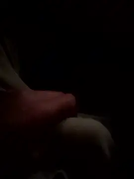 Arabian online show from 01.10.26