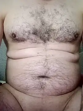 Arabian online show from 02.03.26