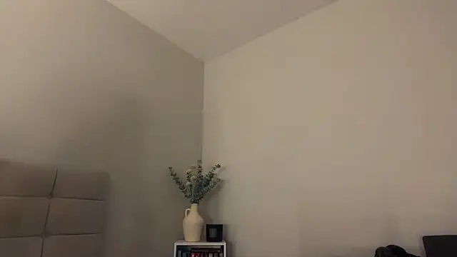 skyejde online show from 04.05.26