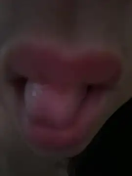 daianaspencer online show from 04.13.26