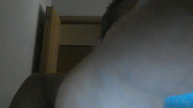 eccomi6996 online show from 06.25.26