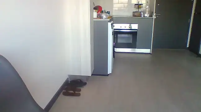 tu la humilde online show from 02.06.25