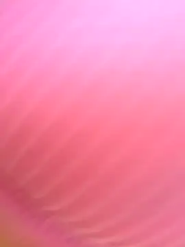 Dulce  Boyd online show from 11.11.25