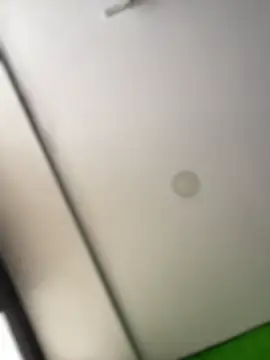 Dulce  Boyd online show from 02.17.26