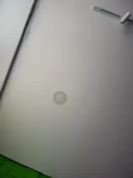 Dulce  Boyd online show from 04.08.26