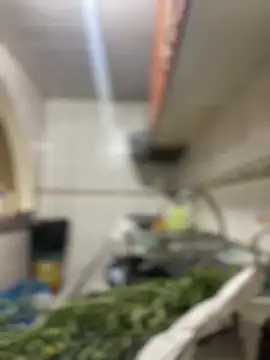 Carola-Ross online show from 03.24.26