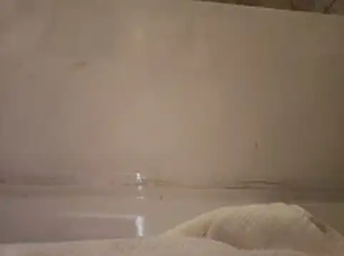 Snapshot of ShysluutGia chatting on 02.19.26 ShysluutGia online show from 02.19.26