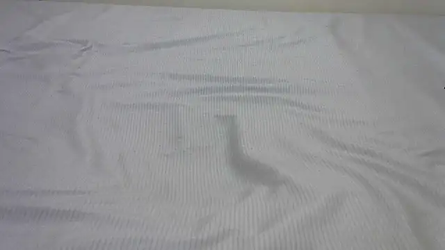 Snapshot of SweetTeaseX chatting on 02.13.25 SweetTeaseX online show from 02.13.25