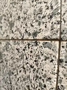 Snapshot of henri69 chatting on 02.24.26 henri69 online show from 02.24.26