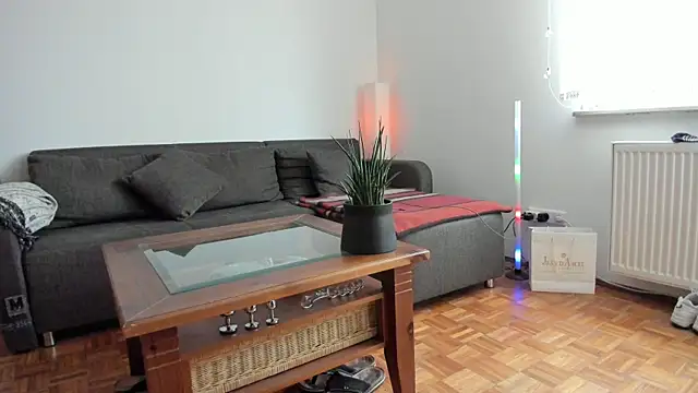 molicaremolicare online show from 11.28.25