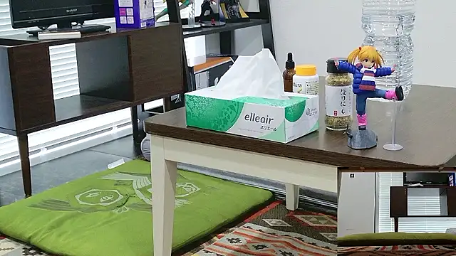 Snapshot of YARASERO-kun chatting on 02.17.26 YARASERO-kun online show from 02.17.26