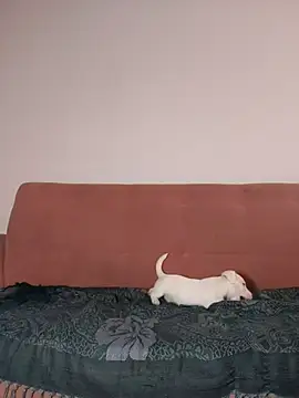 Jehan Soto online show from 09.09.25