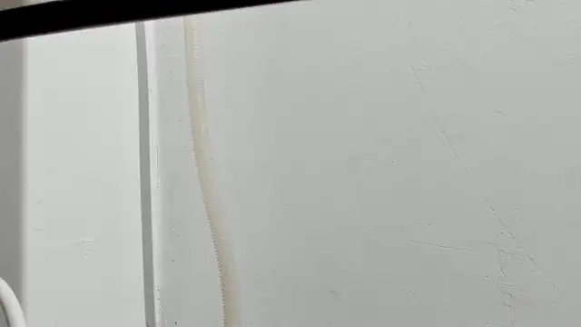 Snapshot of Aleshkastone chatting on 01.11.26 Aleshkastone online show from 01.11.26