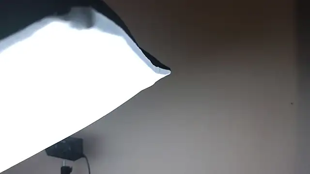 Snapshot of Sandra_Snowflake chatting on 11.24.25 Sandra Snowflake online show from 11.24.25