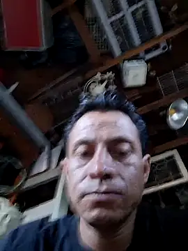 salchichon 69 online show from 05.01.26
