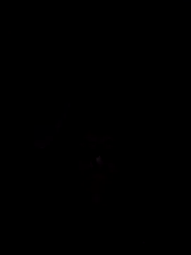 Nidge251 online show from 11.04.25