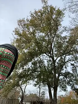 HTXBELLE online show from 12.16.25