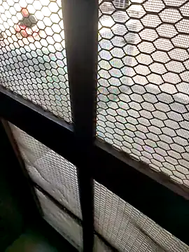 indian couple4 online show from 02.07.26