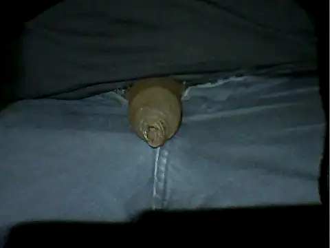 Snapshot of Mthondo-qinile chatting on 11.18.25 Mthondo-qinile online show from 11.18.25